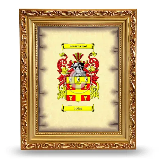 Joles Coat of Arms Framed - Gold