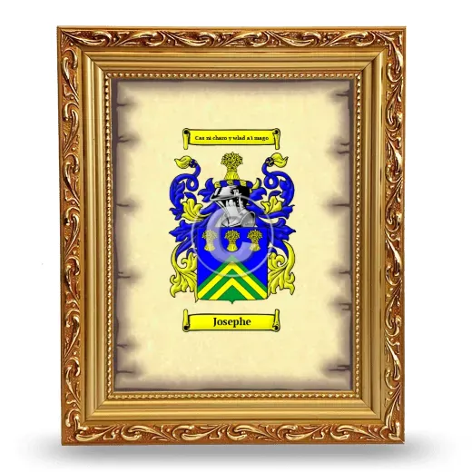 Josephe Coat of Arms Framed - Gold
