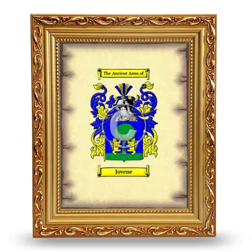 Jovene Coat of Arms Framed - Gold