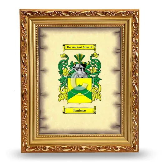 Juniuse Coat of Arms Framed - Gold