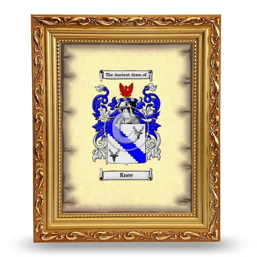 Knee Coat of Arms Framed - Gold