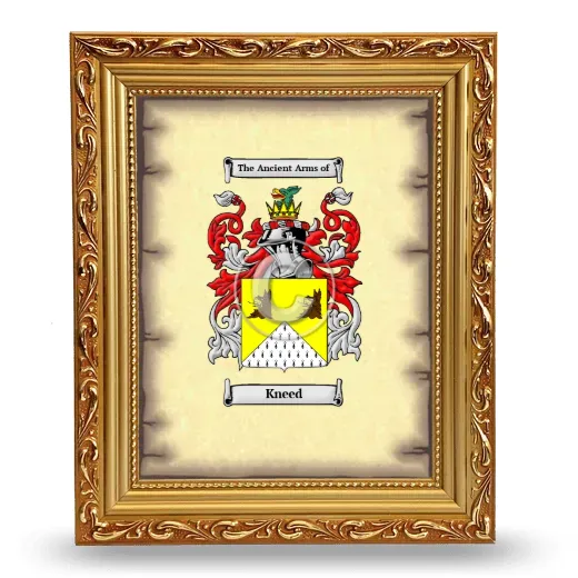 Kneed Coat of Arms Framed - Gold