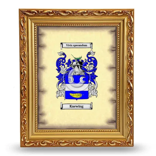 Knewing Coat of Arms Framed - Gold