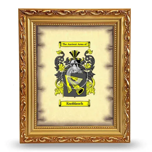 Knoblauch Coat of Arms Framed - Gold