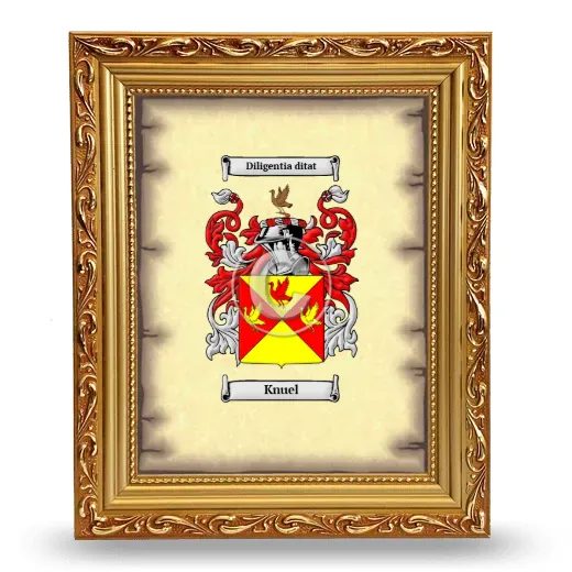 Knuel Coat of Arms Framed - Gold