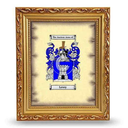 Levey Coat of Arms Framed - Gold