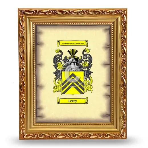 Levey Coat of Arms Framed - Gold