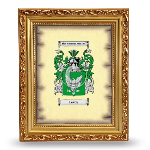 Levoy Coat of Arms Framed - Gold