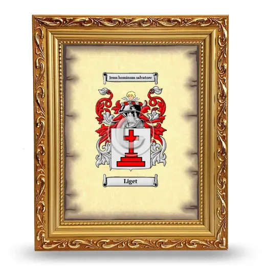 Liget Coat of Arms Framed - Gold