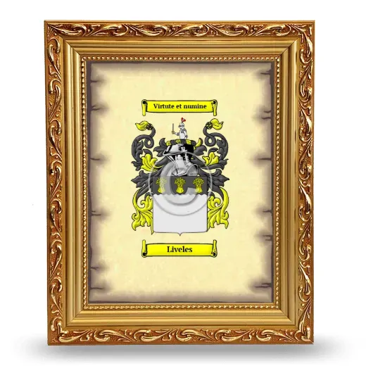 Liveles Coat of Arms Framed - Gold