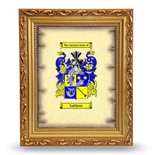 Luitjens Coat of Arms Framed - Gold
