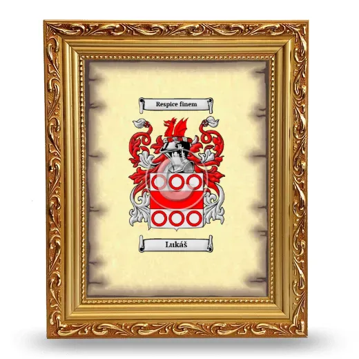 Lukáš Coat of Arms Framed - Gold