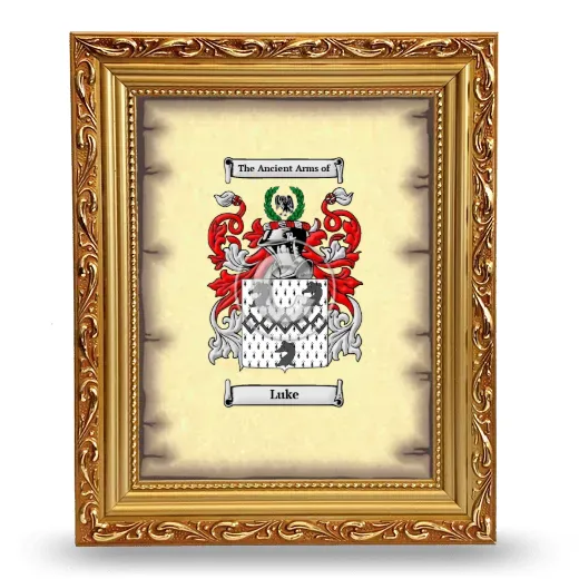 Luke Coat of Arms Framed - Gold