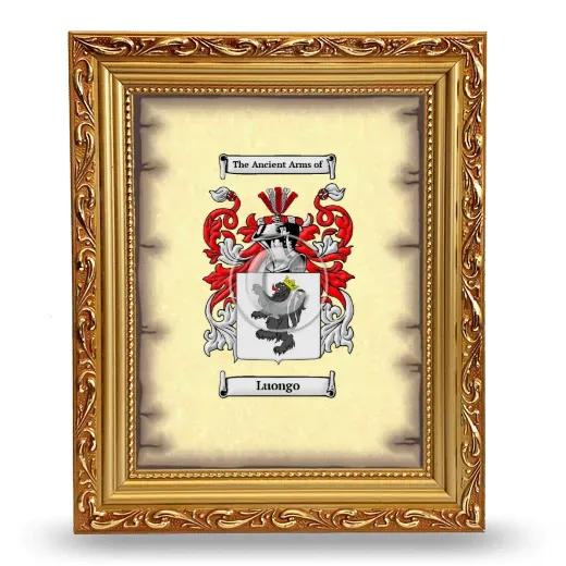 Luongo Coat of Arms Framed - Gold