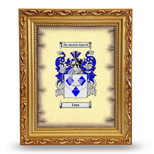 Luys Coat of Arms Framed - Gold