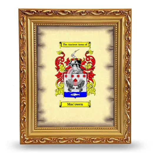 Mac'owen Coat of Arms Framed - Gold