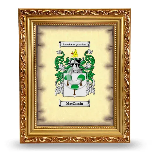 MacCassin Coat of Arms Framed - Gold