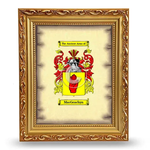 MacGeachyn Coat of Arms Framed - Gold
