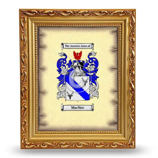 MacNee Coat of Arms Framed - Gold