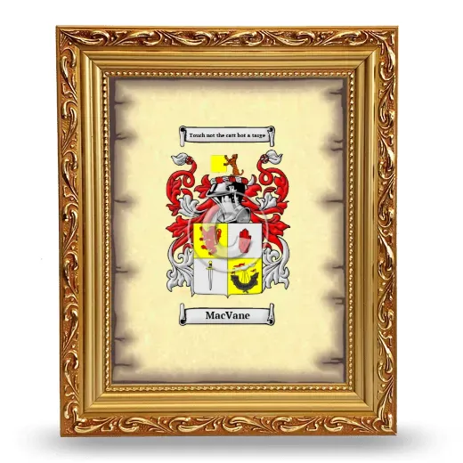 MacVane Coat of Arms Framed - Gold