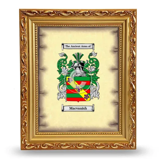 Macvanish Coat of Arms Framed - Gold