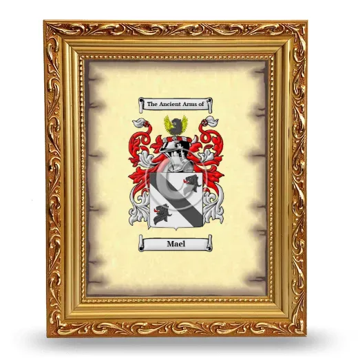 Mael Coat of Arms Framed - Gold
