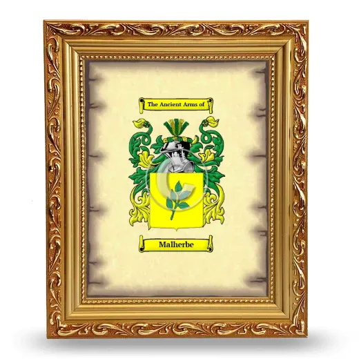 Malherbe Coat of Arms Framed - Gold