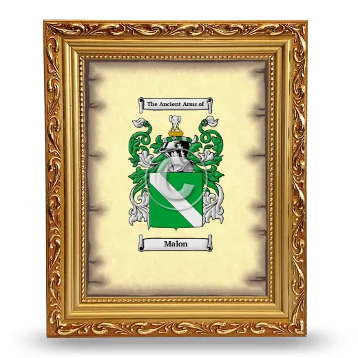 Malon Coat of Arms Framed - Gold