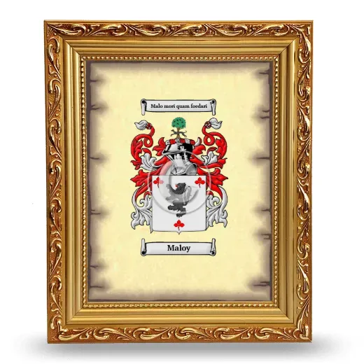 Maloy Coat of Arms Framed - Gold
