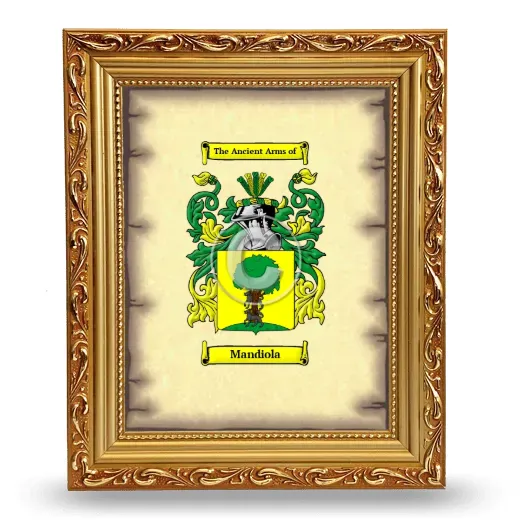 Mandiola Coat of Arms Framed - Gold