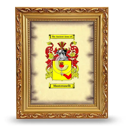 Mantovanelli Coat of Arms Framed - Gold