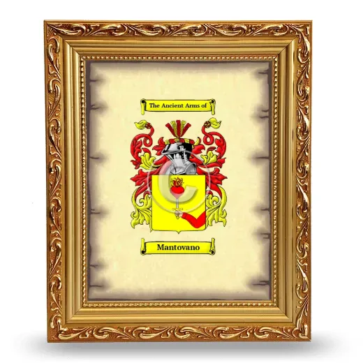 Mantovano Coat of Arms Framed - Gold