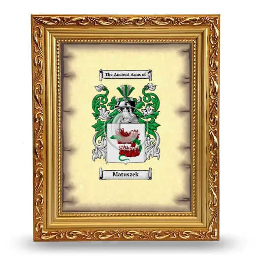 Matuszek Coat of Arms Framed - Gold
