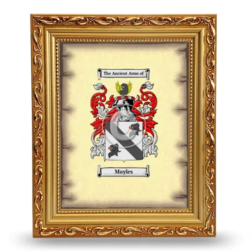 Mayles Coat of Arms Framed - Gold