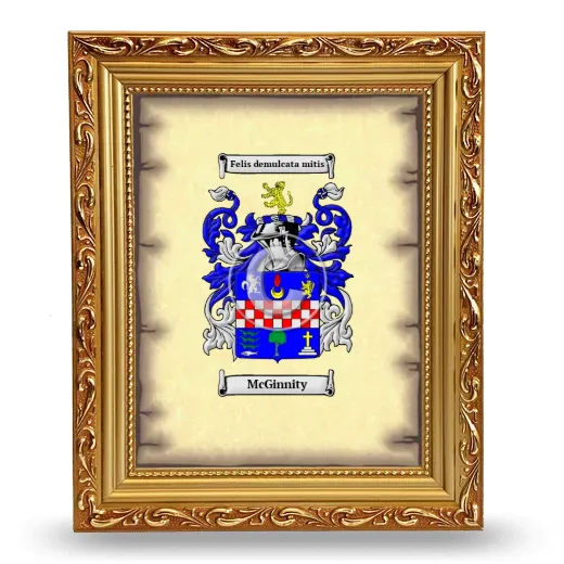 McGinnity Coat of Arms Framed - Gold