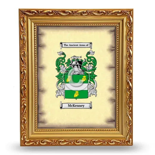 McKenney Coat of Arms Framed - Gold