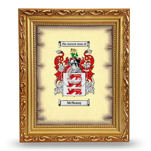 McNeany Coat of Arms Framed - Gold
