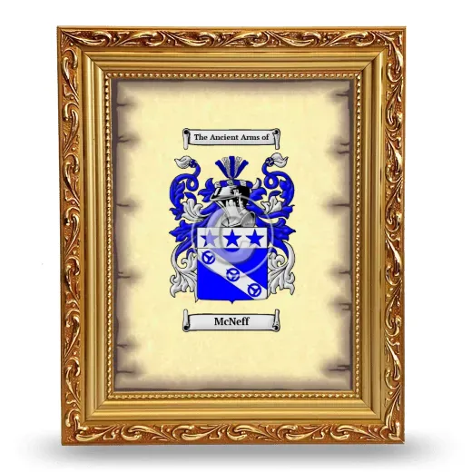 McNeff Coat of Arms Framed - Gold