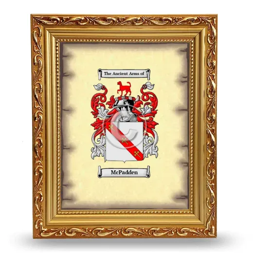 McPadden Coat of Arms Framed - Gold