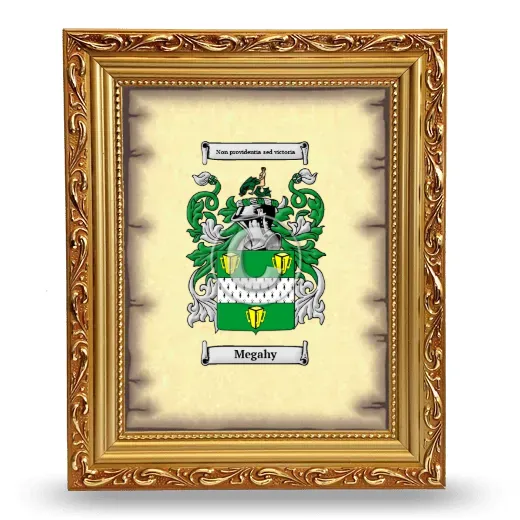 Megahy Coat of Arms Framed - Gold