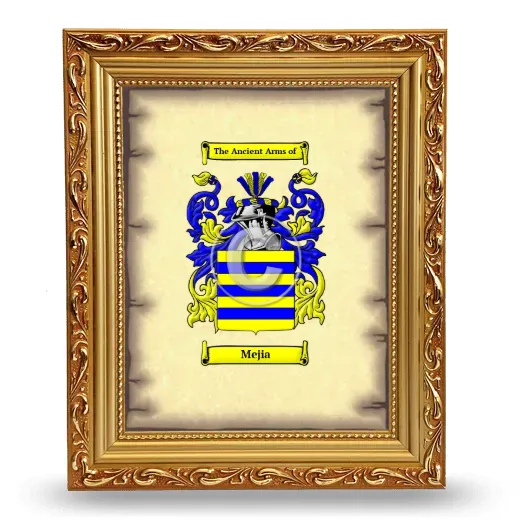 Mejia Coat of Arms Framed - Gold