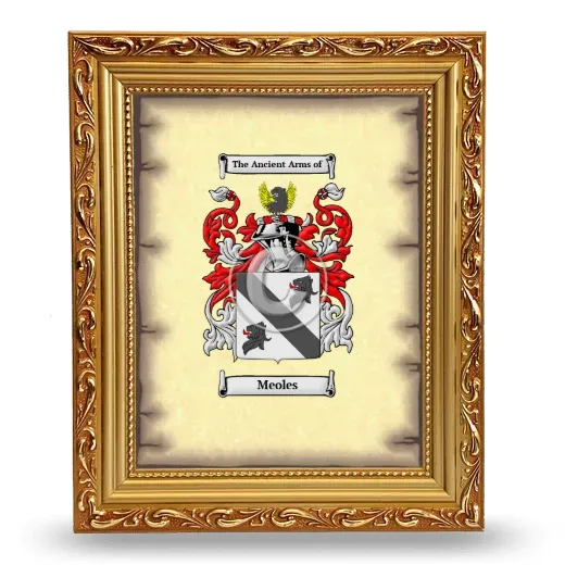 Meoles Coat of Arms Framed - Gold