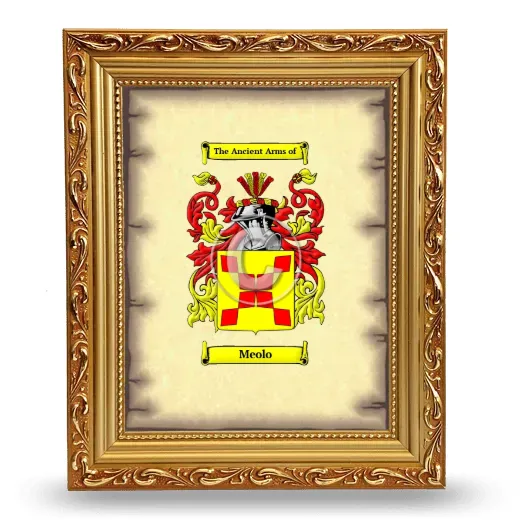 Meolo Coat of Arms Framed - Gold