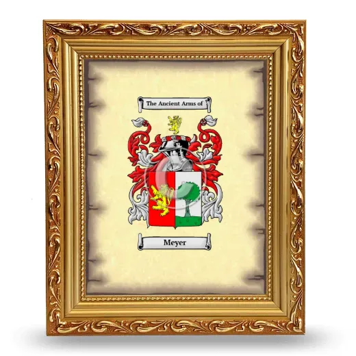 Meyer Coat of Arms Framed - Gold