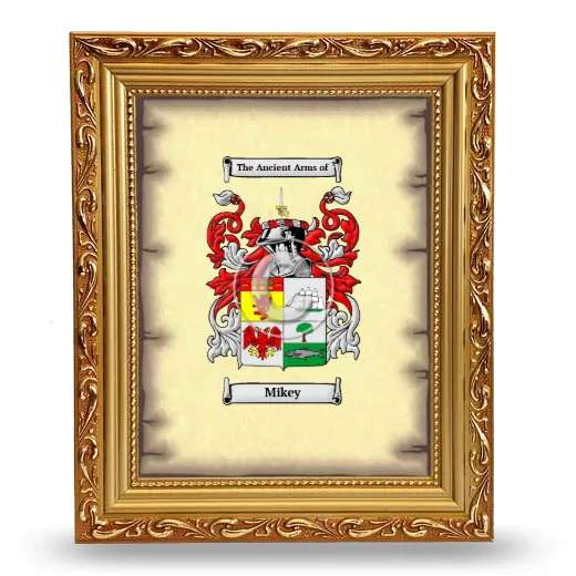 Mikey Coat of Arms Framed - Gold
