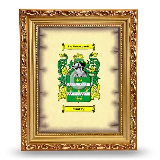 Mintay Coat of Arms Framed - Gold