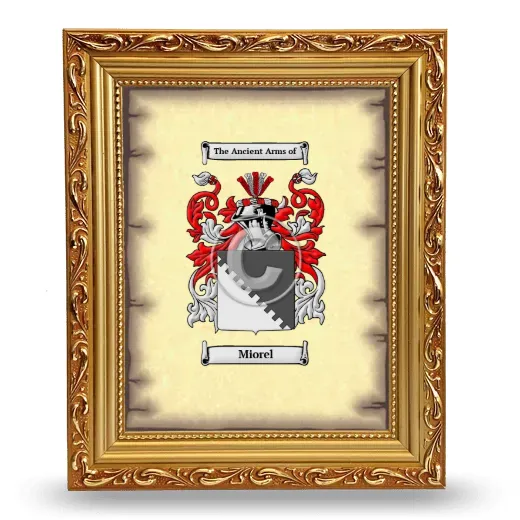 Miorel Coat of Arms Framed - Gold