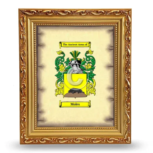 Moles Coat of Arms Framed - Gold