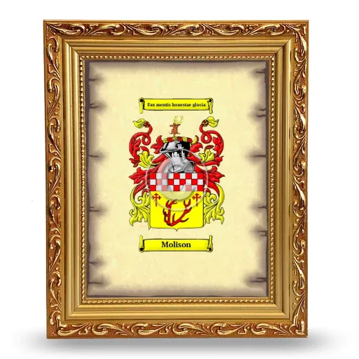 Molison Coat of Arms Framed - Gold