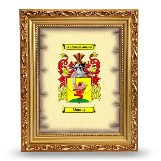 Montay Coat of Arms Framed - Gold